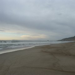 GirlsWildCat 054 : GirlsWildCat